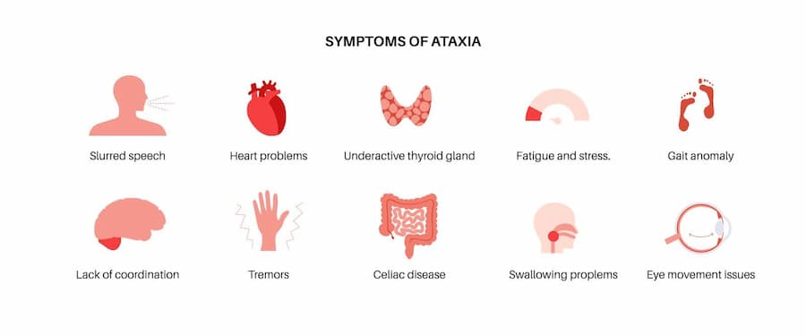 Understanding Ataxia Disease: Symptoms, Diagnosis and Treatment Options