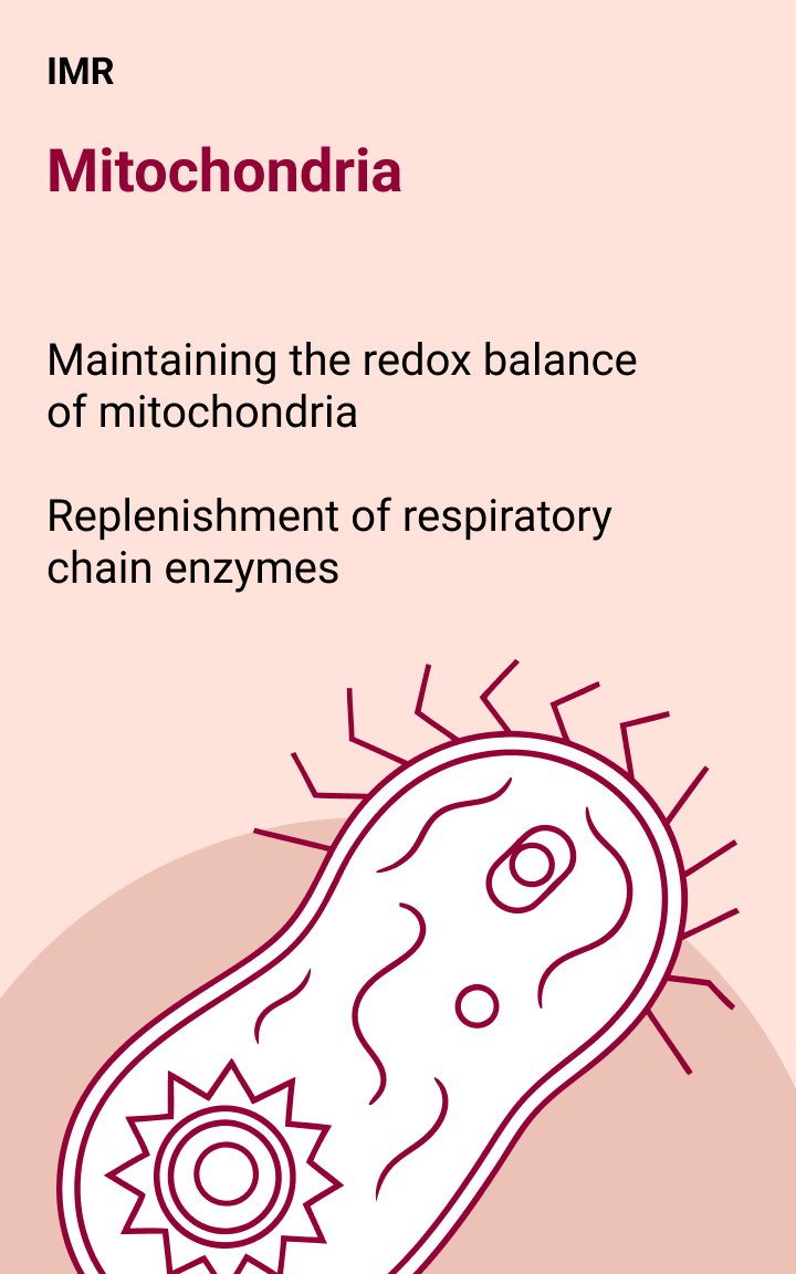 IMR & Drug Therapies