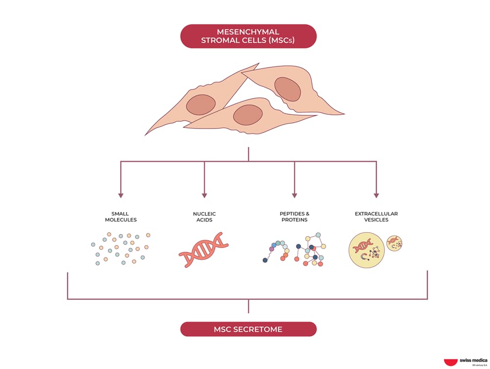 Cell-Free Therapy: The Power of Exosomes and Secretome in Regenerative Medicine