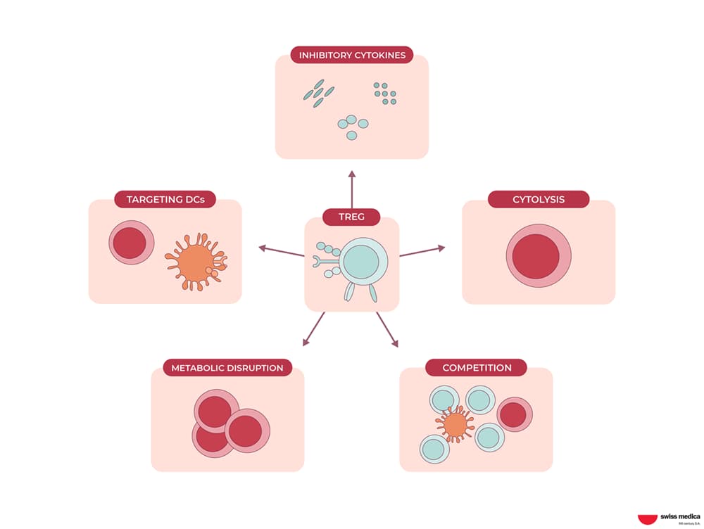 Regulatory T-cells in Stem Cell Therapy: How Do They Work